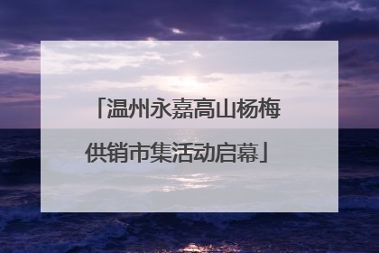 温州永嘉高山杨梅供销市集活动启幕