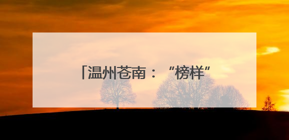 温州苍南：“榜样”成“邻里” 为乡村振兴注入好人力量