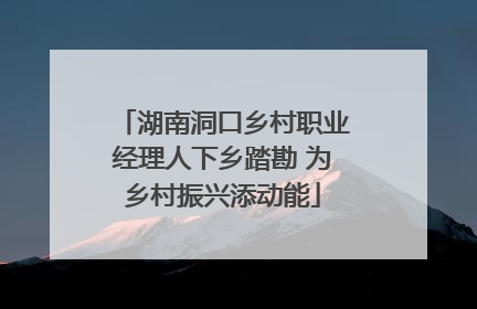 湖南洞口乡村职业经理人下乡踏勘 为乡村振兴添动能