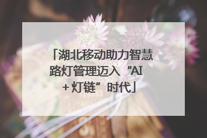 湖北移动助力智慧路灯管理迈入“AI＋灯链”时代