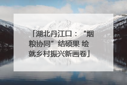 湖北丹江口：“烟粮协同”结硕果 绘就乡村振兴新画卷