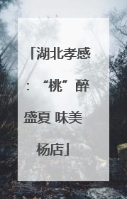 湖北孝感：“桃”醉盛夏 味美杨店