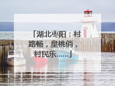 湖北枣阳：村路畅，皇桃俏，村民乐……