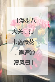 漫步八大关，打卡蔷薇花，邂逅浪漫风景