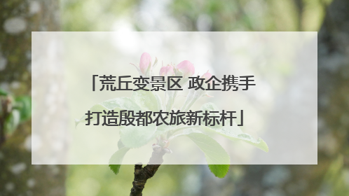 荒丘变景区 政企携手打造殷都农旅新标杆