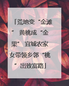 荒地变“金滩” 黄桃成“金果” 宜城农家女带领乡邻“桃”出致富路