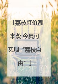 荔枝降价潮来袭 今夏可实现“荔枝自由”