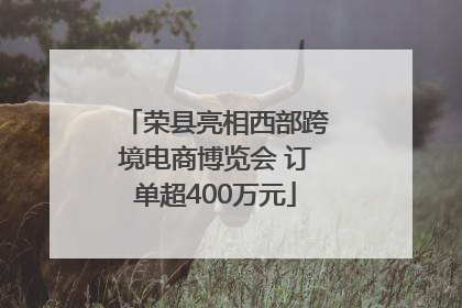 荣县亮相西部跨境电商博览会 订单超400万元