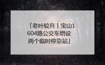 老叶较真丨宝山1604路公交车增设两个临时停靠站
