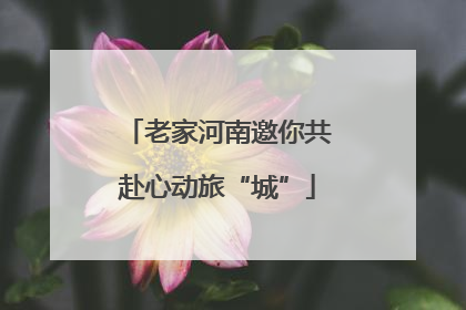 老家河南邀你共赴心动旅“城”