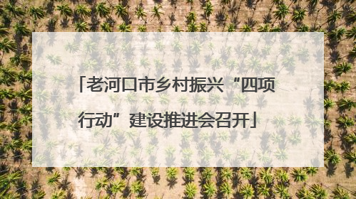 老河口市乡村振兴“四项行动”建设推进会召开
