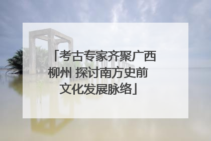 考古专家齐聚广西柳州 探讨南方史前文化发展脉络