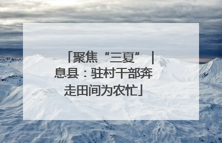 聚焦“三夏”｜息县：驻村干部奔走田间为农忙