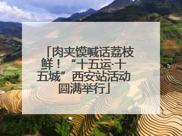 肉夹馍喊话荔枝鲜！“十五运·十五城”西安站活动圆满举行