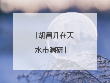 胡昌升在天水市调研