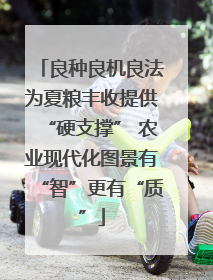 良种良机良法为夏粮丰收提供“硬支撑” 农业现代化图景有“智”更有“质”