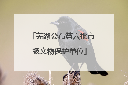 芜湖公布第六批市级文物保护单位