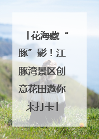 花海藏“豚”影！江豚湾景区创意花田邀你来打卡