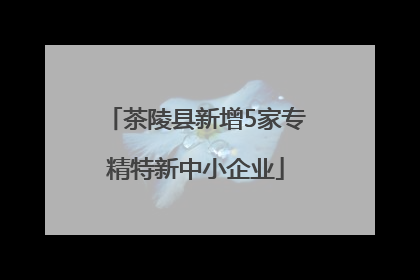 茶陵县新增5家专精特新中小企业