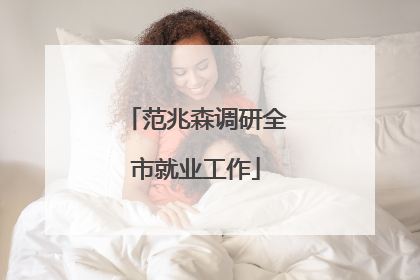 范兆森调研全市就业工作