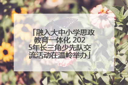 融入大中小学思政教育一体化 2025年长三角少先队交流活动在温岭举办
