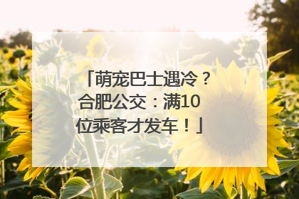 萌宠巴士遇冷？合肥公交：满10位乘客才发车！