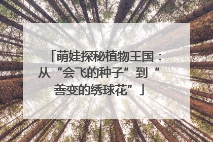 萌娃探秘植物王国：从“会飞的种子”到“善变的绣球花”