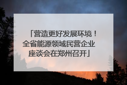 营造更好发展环境！全省能源领域民营企业座谈会在郑州召开