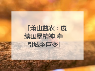 萧山益农：赓续围垦精神 牵引城乡巨变