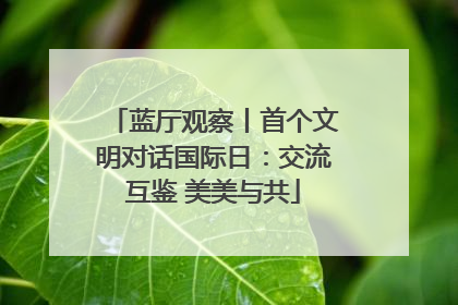 蓝厅观察丨首个文明对话国际日：交流互鉴 美美与共