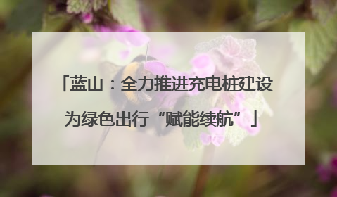 蓝山：全力推进充电桩建设 为绿色出行“赋能续航”