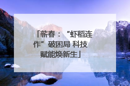 蕲春：“虾稻连作”破困局 科技赋能焕新生
