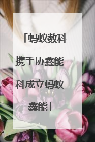 蚂蚁数科携手协鑫能科成立蚂蚁鑫能