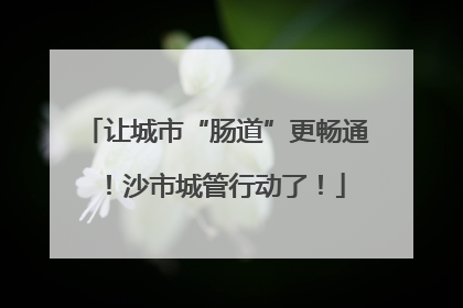 让城市“肠道”更畅通！沙市城管行动了！