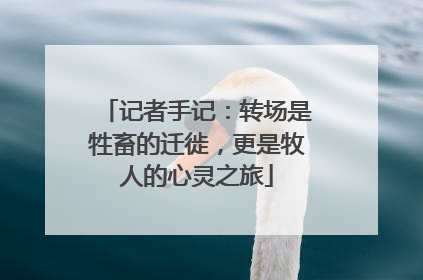记者手记：转场是牲畜的迁徙，更是牧人的心灵之旅