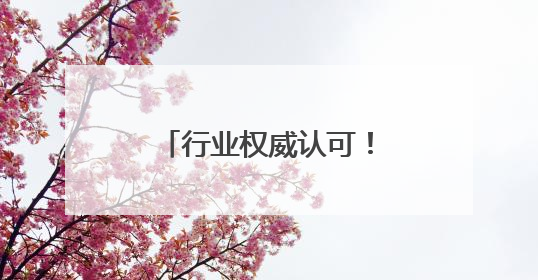 行业权威认可！京客网荣获中文域名“中文网址”黄金注册服务商