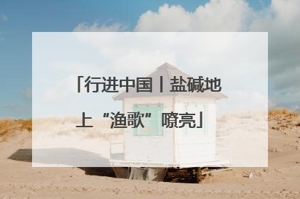 行进中国丨盐碱地上“渔歌”嘹亮