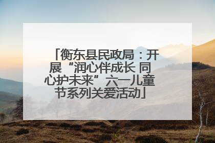 衡东县民政局：开展“润心伴成长 同心护未来”六一儿童节系列关爱活动
