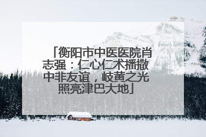 衡阳市中医医院肖志强：仁心仁术播撒中非友谊，岐黄之光照亮津巴大地