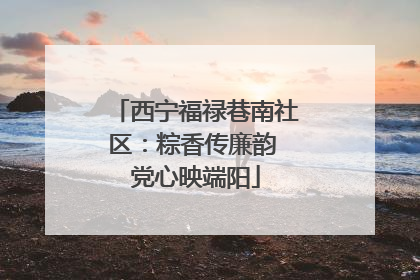 西宁福禄巷南社区：粽香传廉韵 党心映端阳