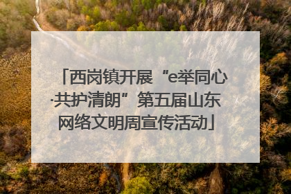 西岗镇开展“e举同心·共护清朗”第五届山东网络文明周宣传活动
