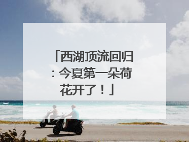 西湖顶流回归：今夏第一朵荷花开了！