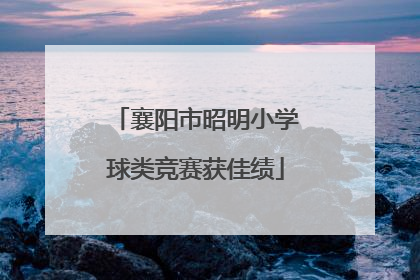 襄阳市昭明小学球类竞赛获佳绩
