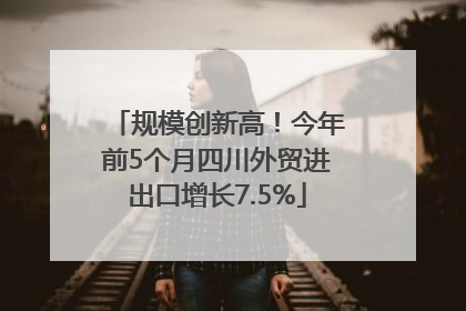 规模创新高！今年前5个月四川外贸进出口增长7.5%