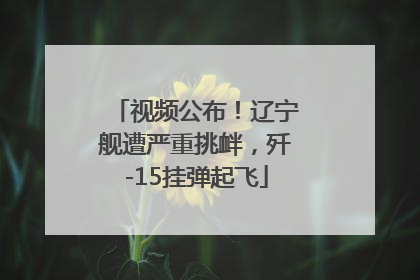 视频公布！辽宁舰遭严重挑衅，歼-15挂弹起飞