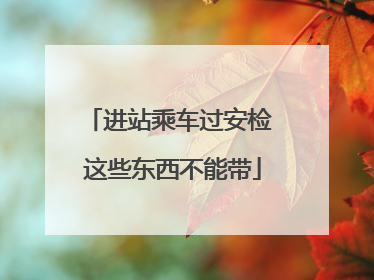 进站乘车过安检 这些东西不能带
