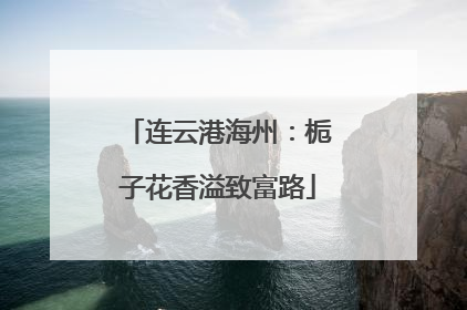 连云港海州：栀子花香溢致富路
