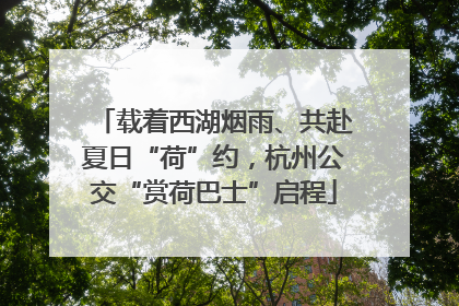 载着西湖烟雨、共赴夏日“荷”约，杭州公交“赏荷巴士”启程