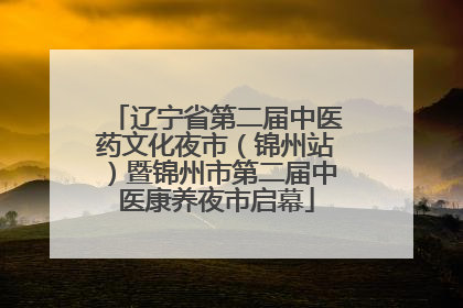 辽宁省第二届中医药文化夜市（锦州站）暨锦州市第二届中医康养夜市启幕