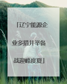 辽宁能源企业多措并举备战迎峰度夏